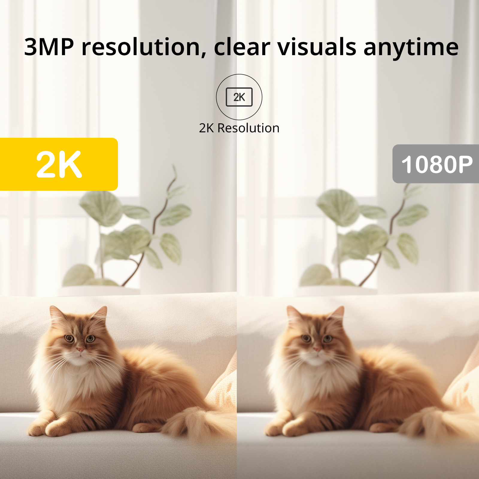 BoyKeep Telecamera di Sorvegli - Home Security Video Systems recensione e prezzo